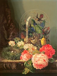 Still Life of Birds, Flowers and a Bird